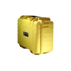 BW International Type 3000